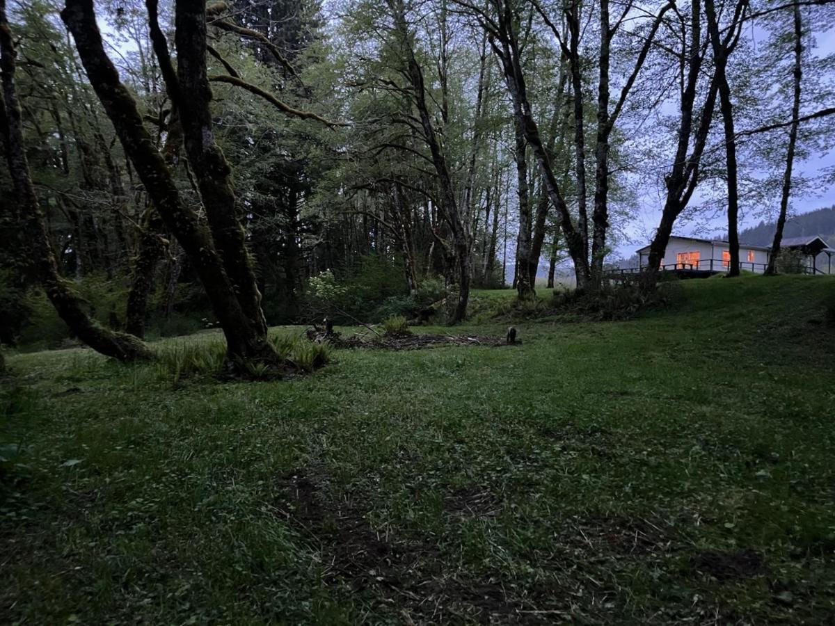 A Relaxing Getaway-A Backwoods Cabin Solduc River Beaver Exteriör bild