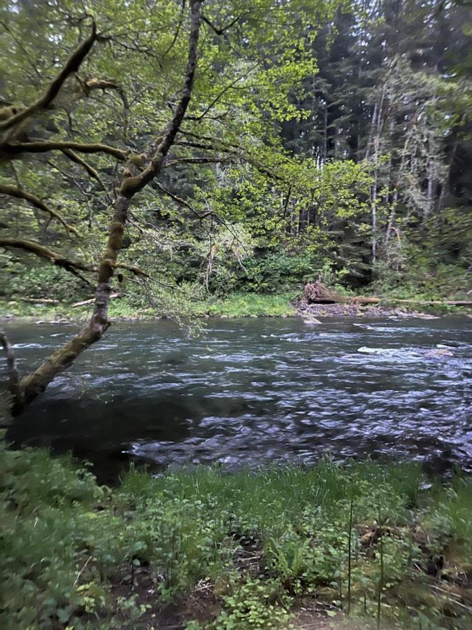 A Relaxing Getaway-A Backwoods Cabin Solduc River Beaver Exteriör bild